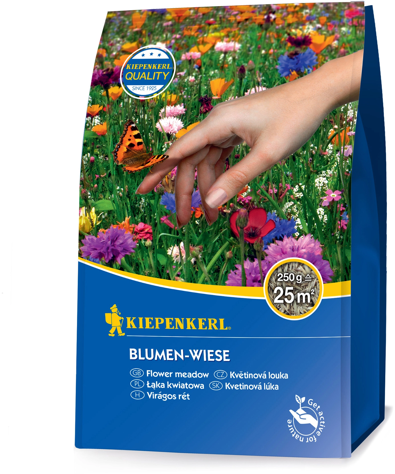 Blumensamen online kaufen bei OBI OBI.de